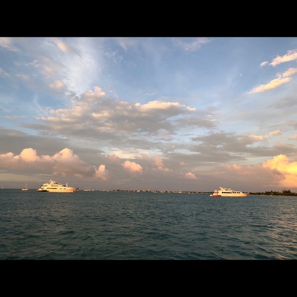 Ambassador ⭐️ Tina, Top Rated Seller & Shipper - Picture 4 of 5